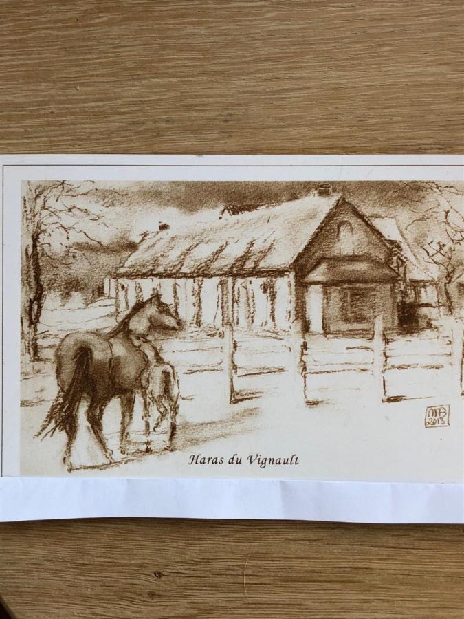 haras du Vignault Le Bûcher Salbris Exterior foto