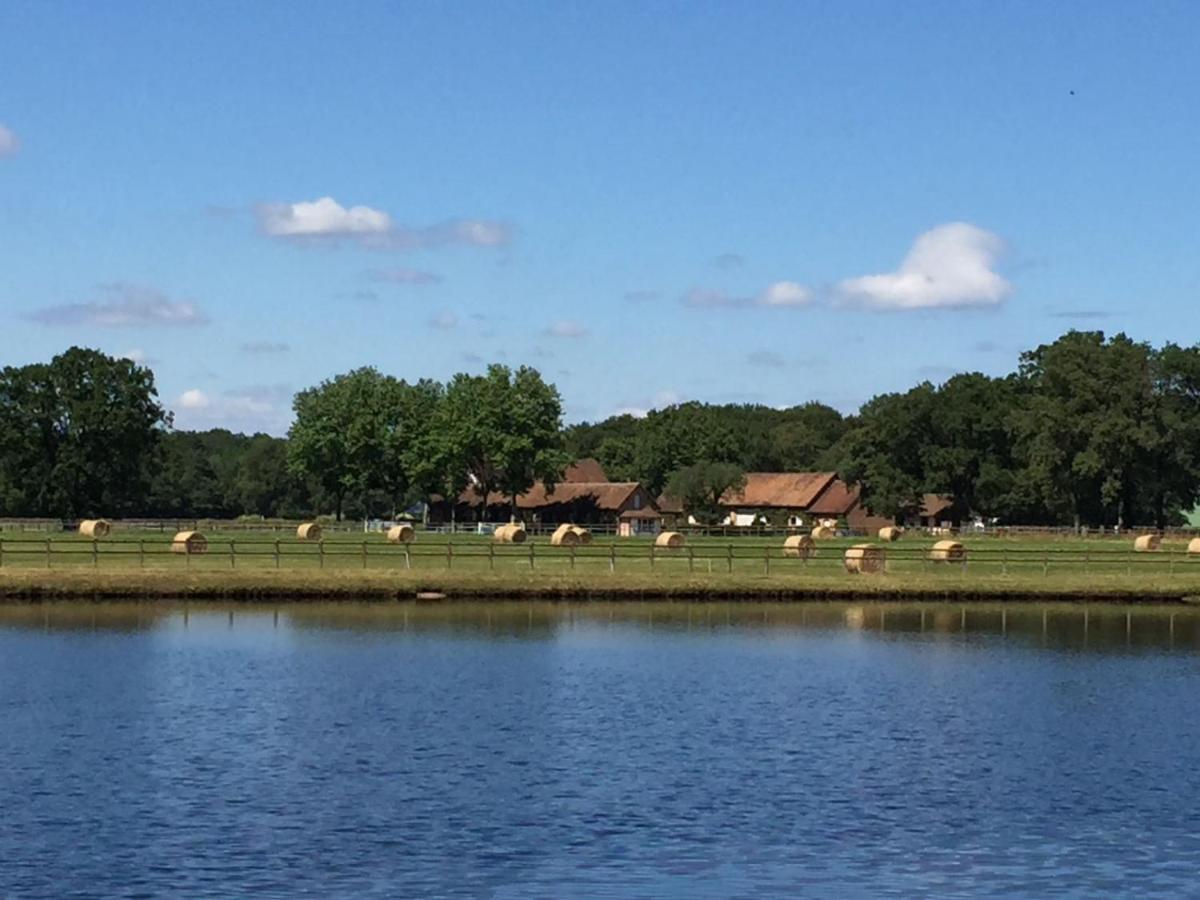haras du Vignault Le Bûcher Salbris Exterior foto