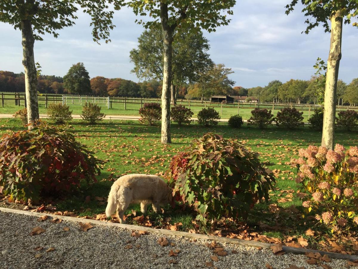 haras du Vignault Le Bûcher Salbris Exterior foto